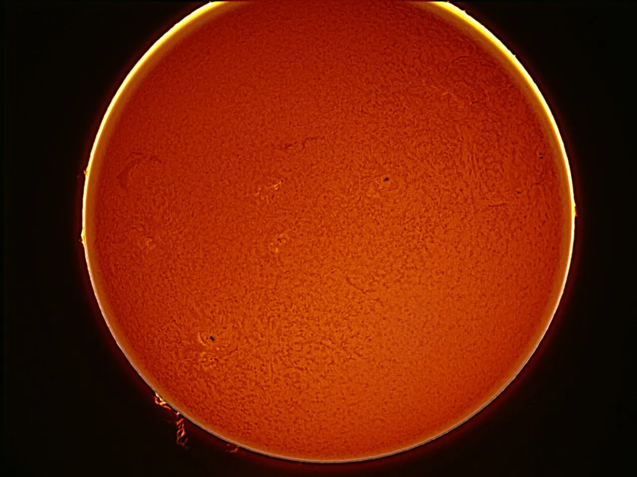 Full solar disc in H-alpha showing chromospheric texture, sunspots, and prominences along the limb